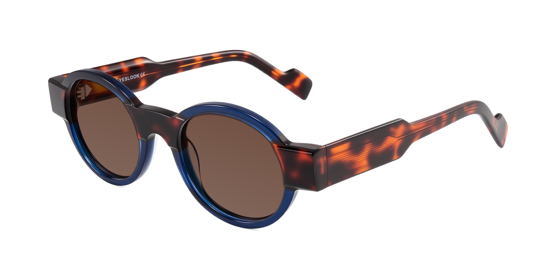 Angle of Talori in Transparent Blue/Tortoise with Brown Tinted Lenses
