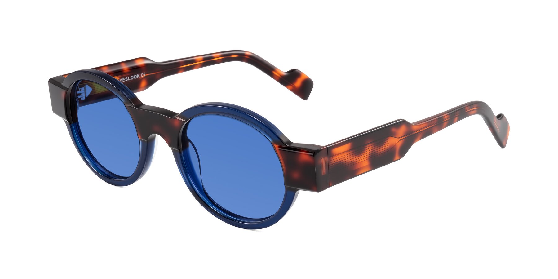 Angle of Talori in Transparent Blue/Tortoise with Blue Tinted Lenses