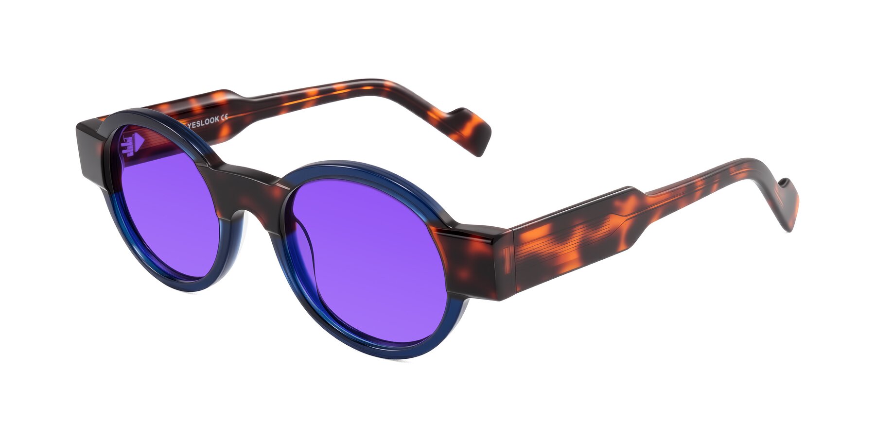 Angle of Talori in Transparent Blue/Tortoise with Purple Tinted Lenses