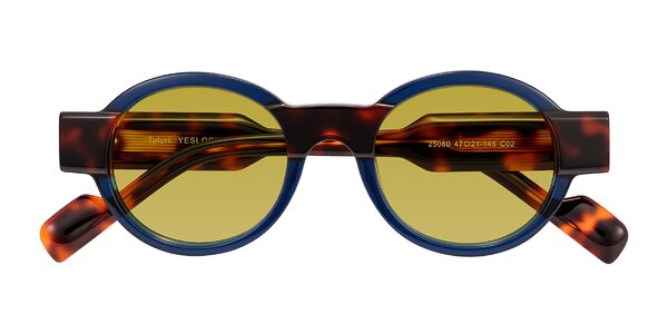 Front of Talori in Transparent Blue/Tortoise