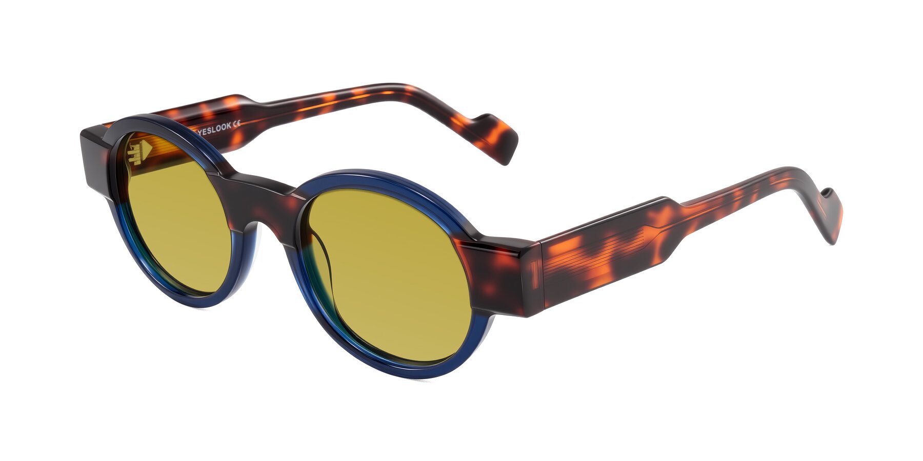 Angle of Talori in Transparent Blue/Tortoise with Champagne Tinted Lenses
