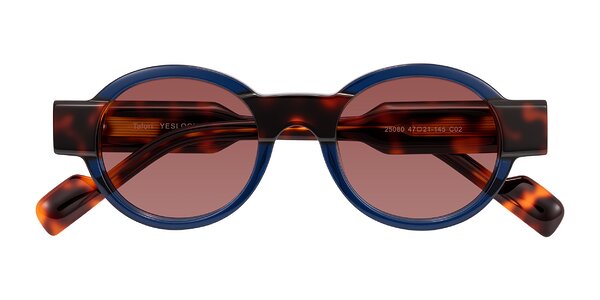 Front of Talori in Transparent Blue/Tortoise