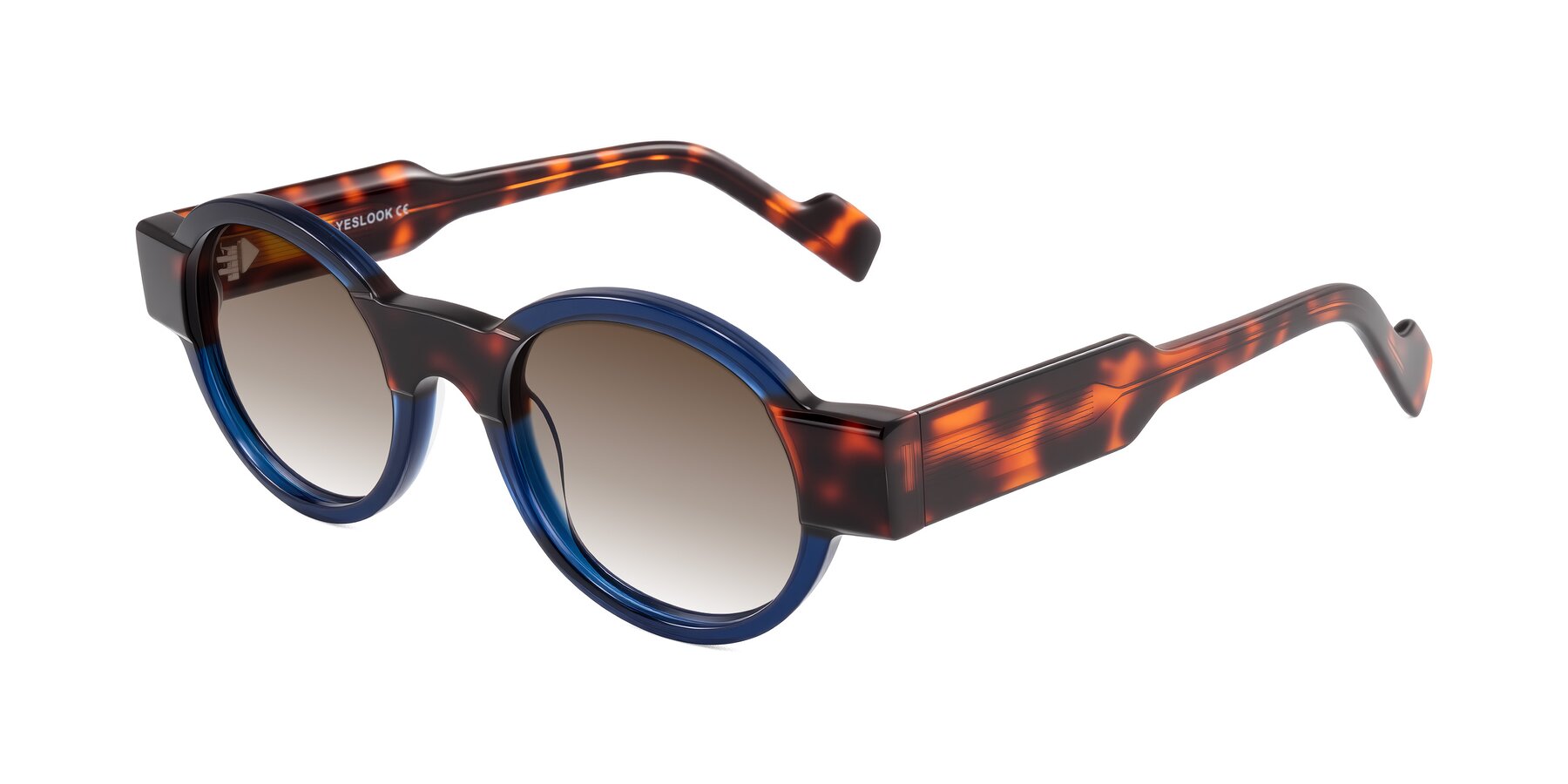 Angle of Talori in Transparent Blue/Tortoise with Brown Gradient Lenses