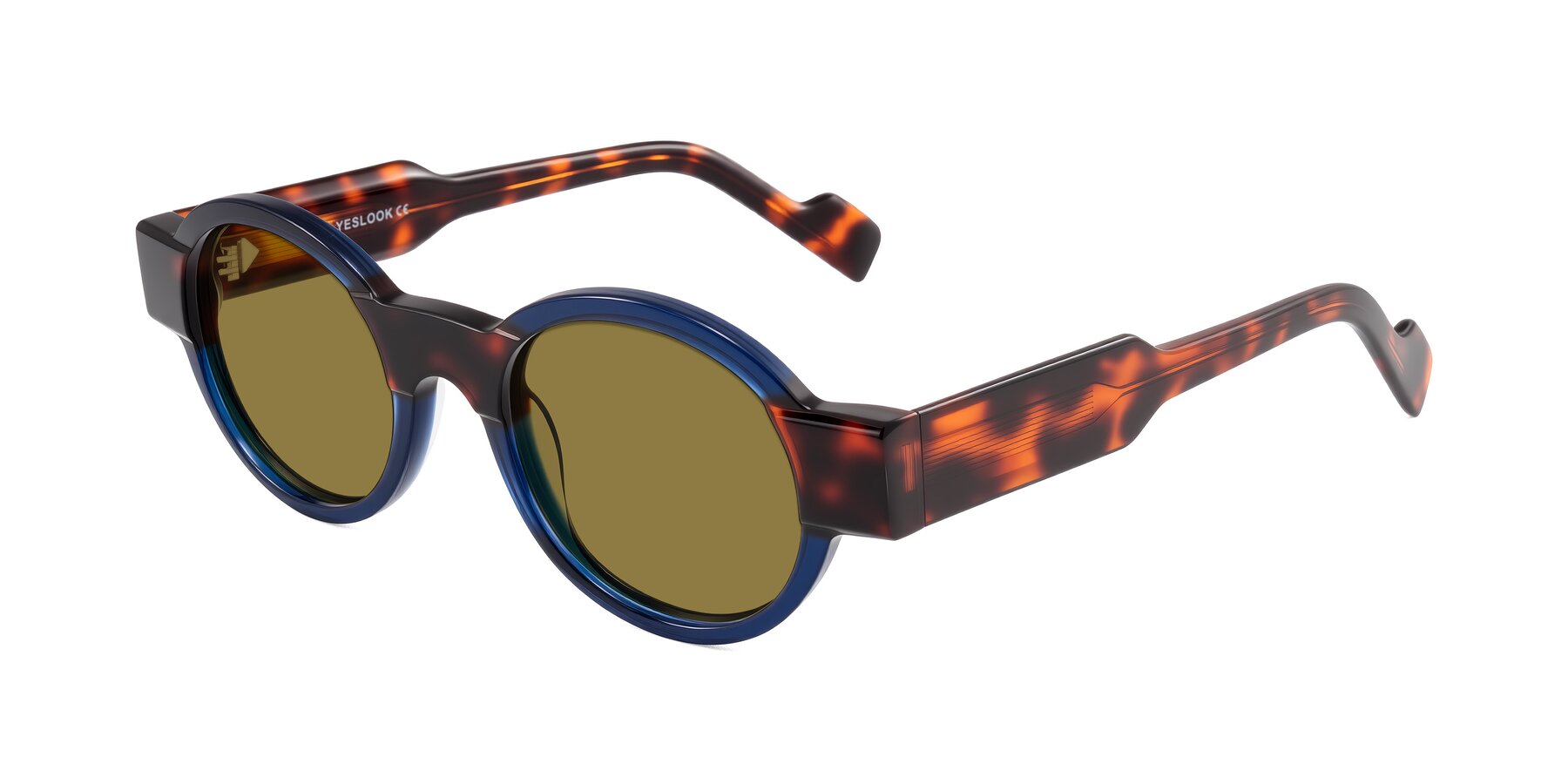 Angle of Talori in Transparent Blue/Tortoise with Brown Polarized Lenses