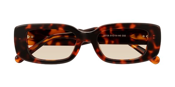 Front of Pythias in Tortoise