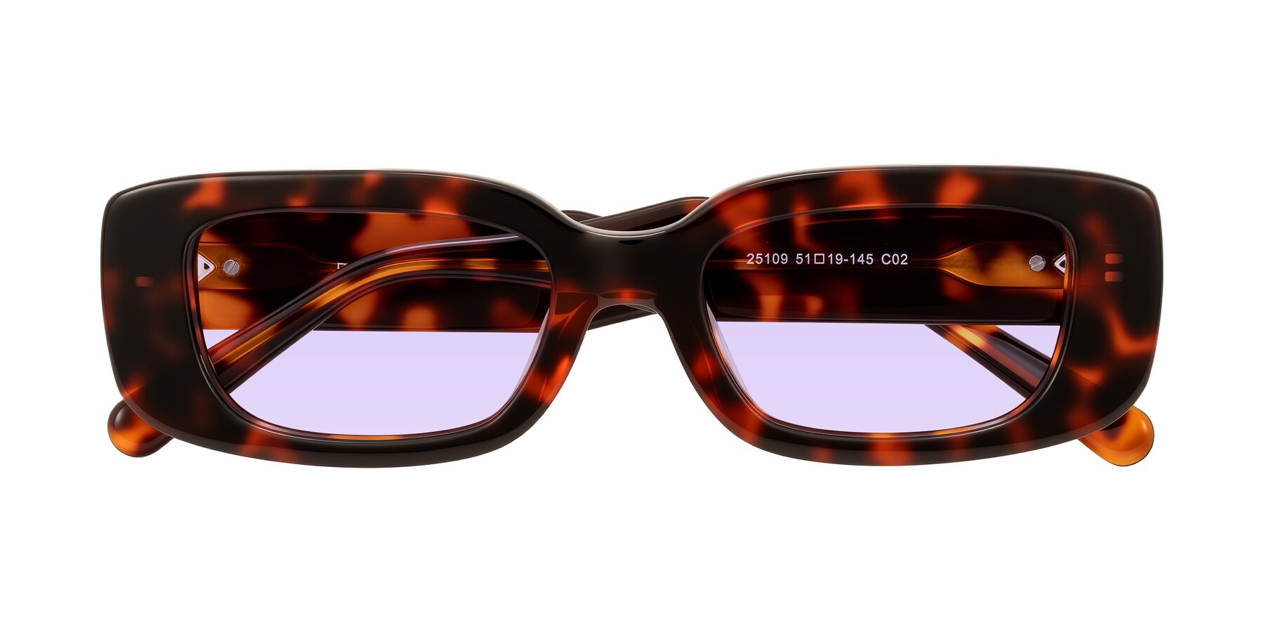 Folded Front of Pythias in Tortoise with Light Purple Tinted Lenses