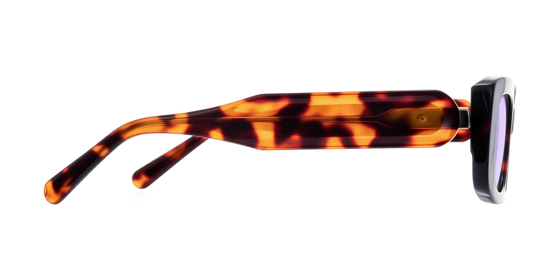 Side of Pythias in Tortoise with Light Purple Tinted Lenses