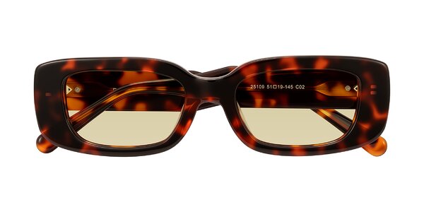 Front of Pythias in Tortoise