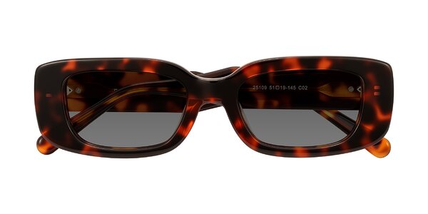 Front of Pythias in Tortoise