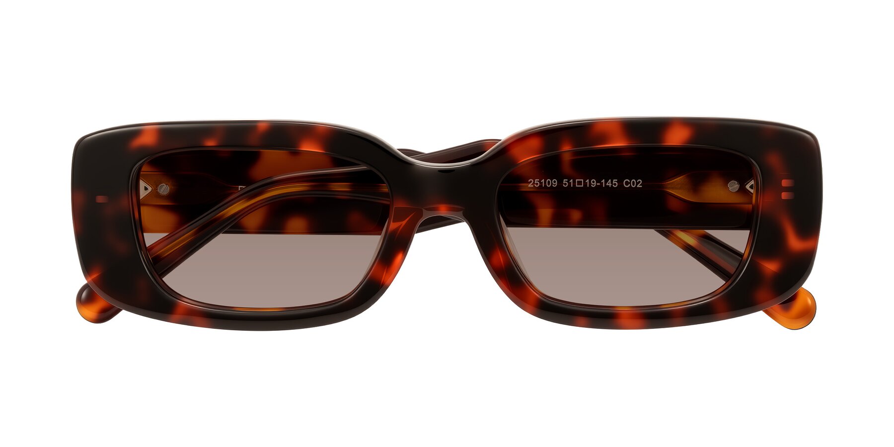 Folded Front of Pythias in Tortoise with Medium Brown Tinted Lenses