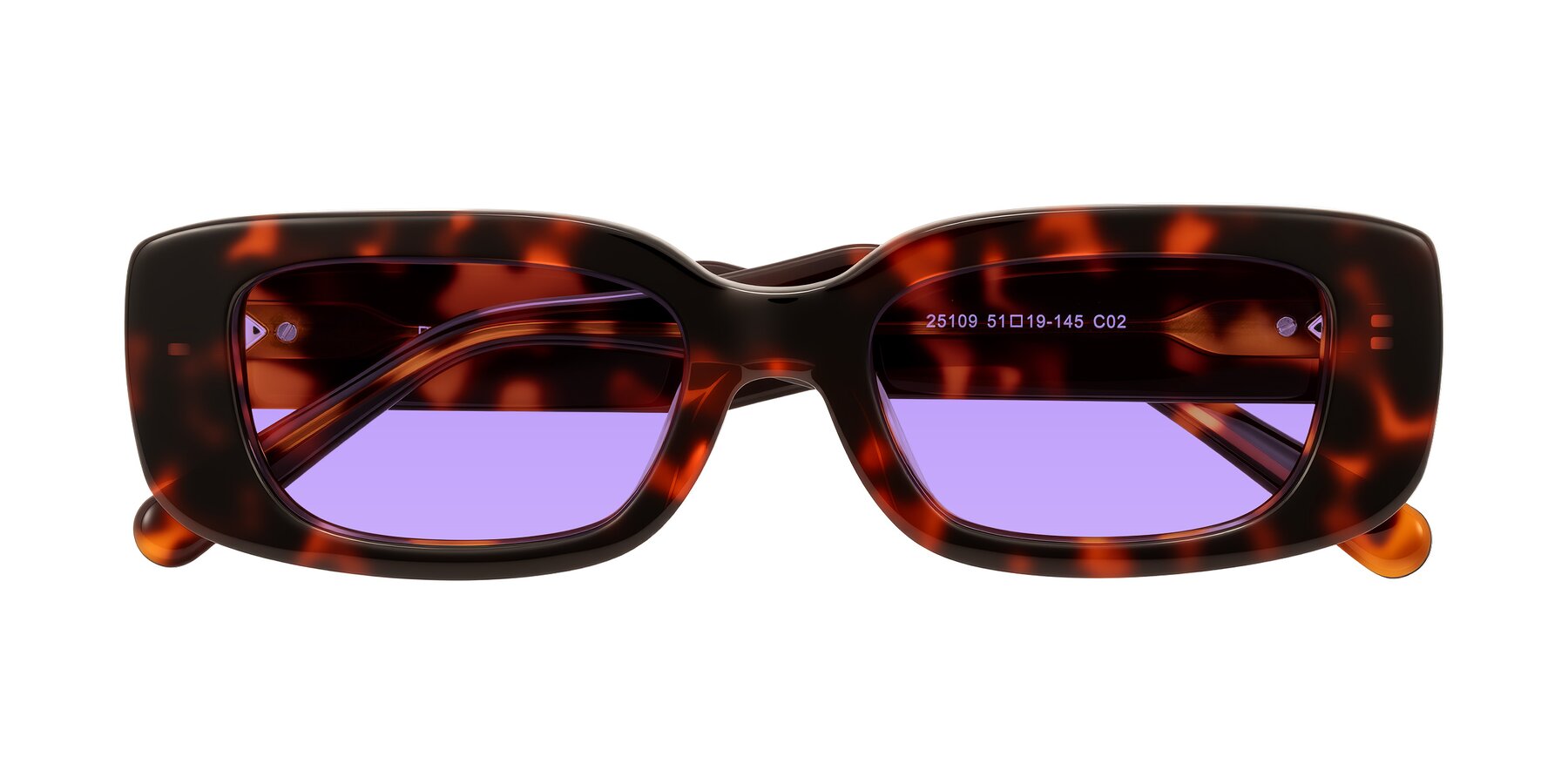 Folded Front of Pythias in Tortoise with Medium Purple Tinted Lenses