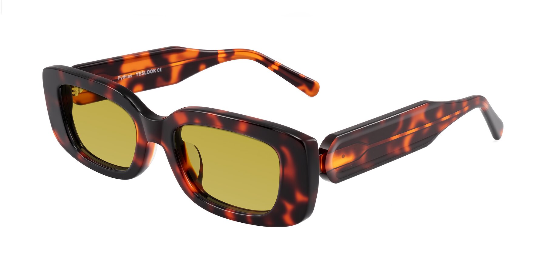 Angle of Pythias in Tortoise with Champagne Tinted Lenses