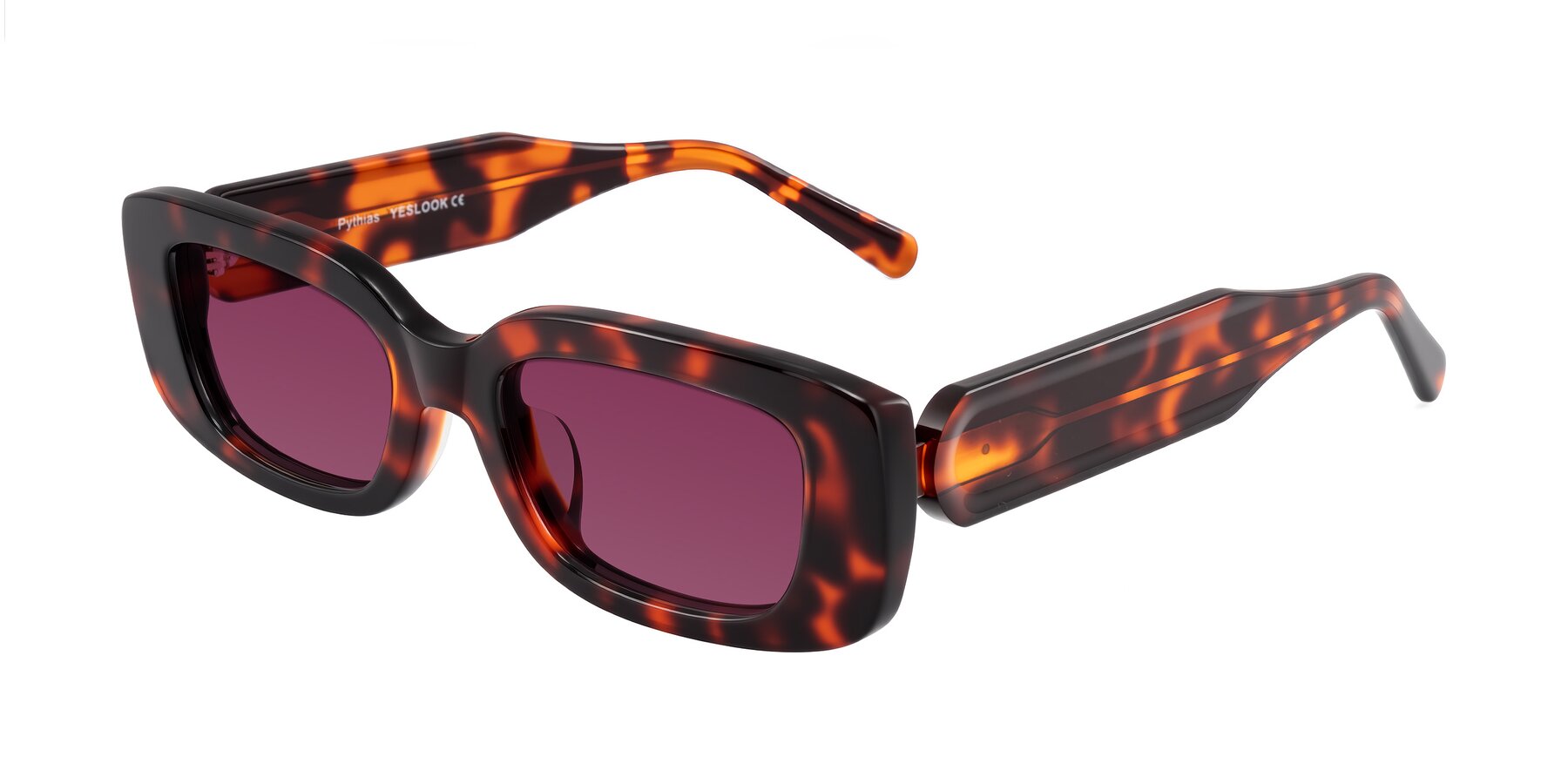 Angle of Pythias in Tortoise with Wine Tinted Lenses