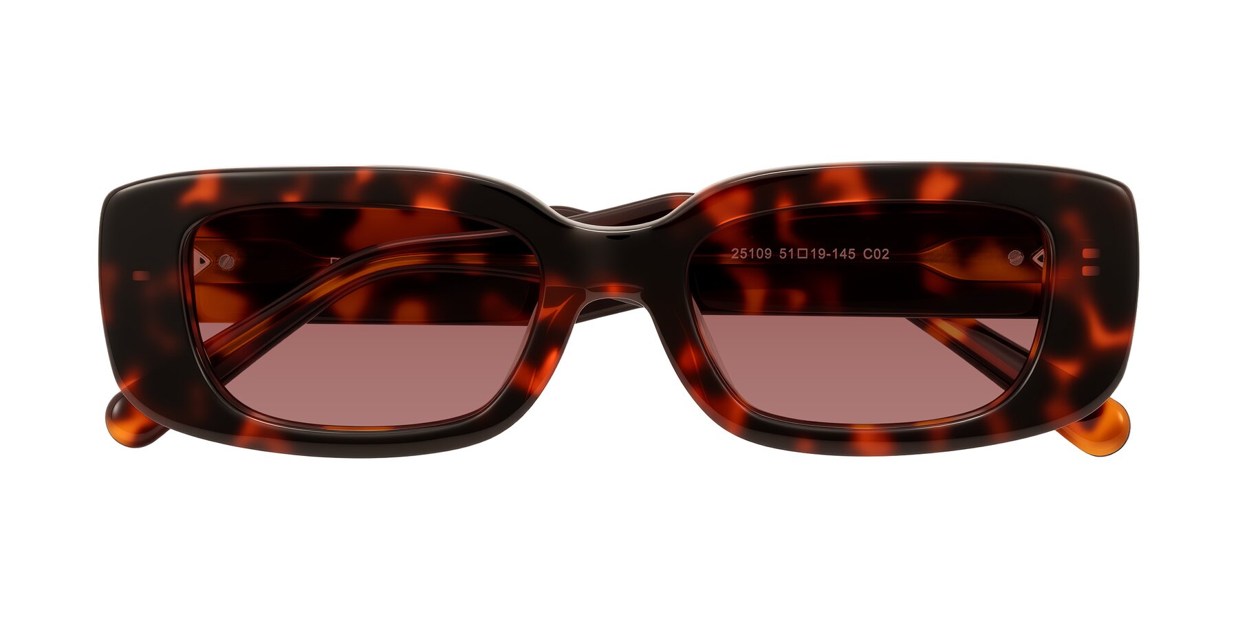 Folded Front of Pythias in Tortoise with Garnet Tinted Lenses