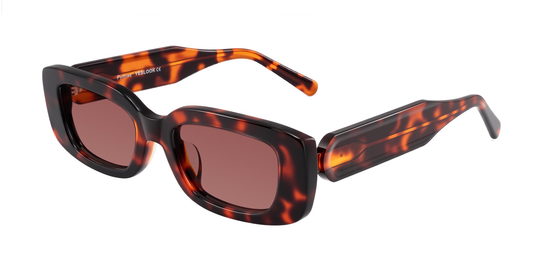 Angle of Pythias in Tortoise with Garnet Tinted Lenses