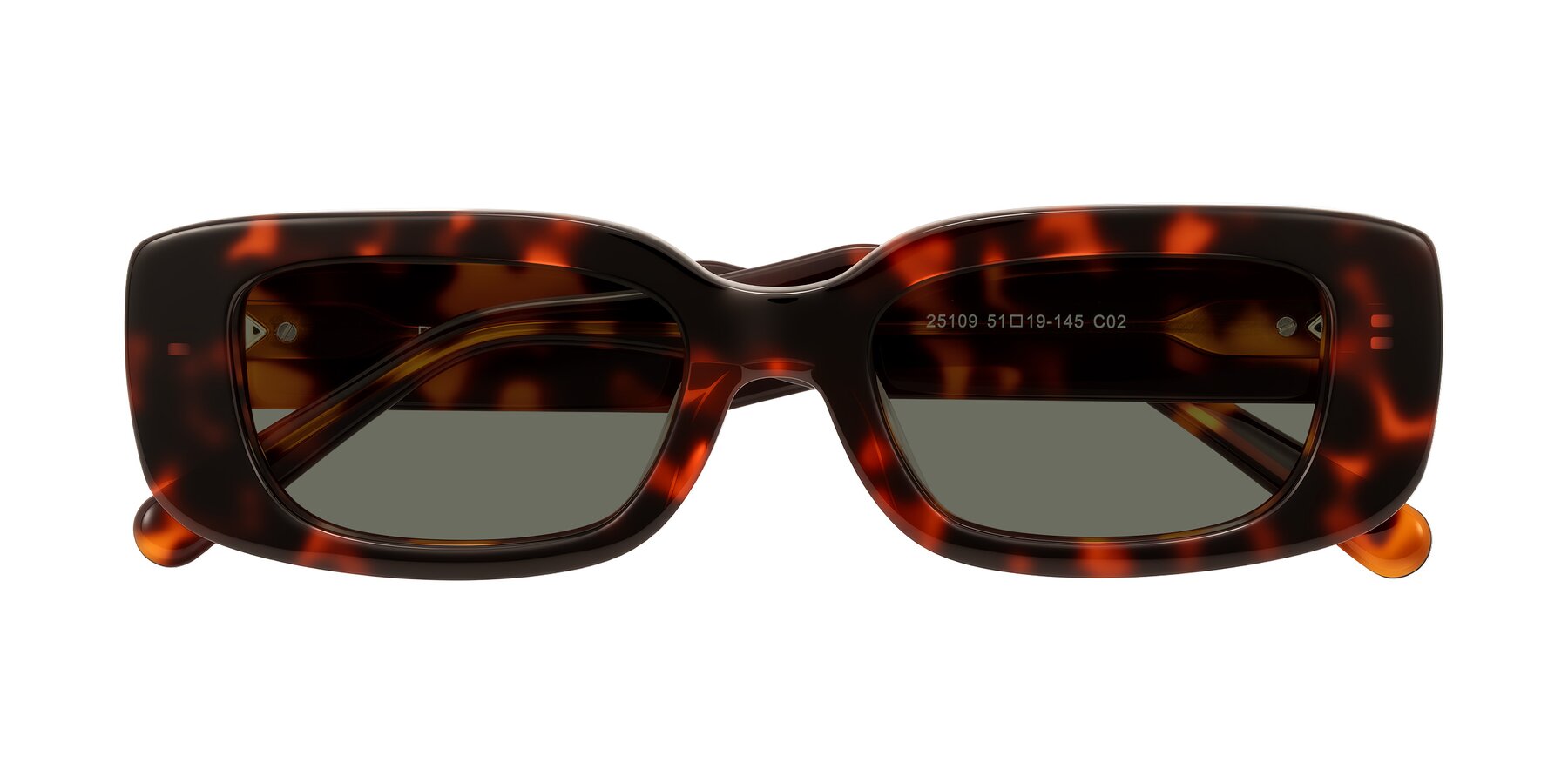 Folded Front of Pythias in Tortoise with Gray Polarized Lenses