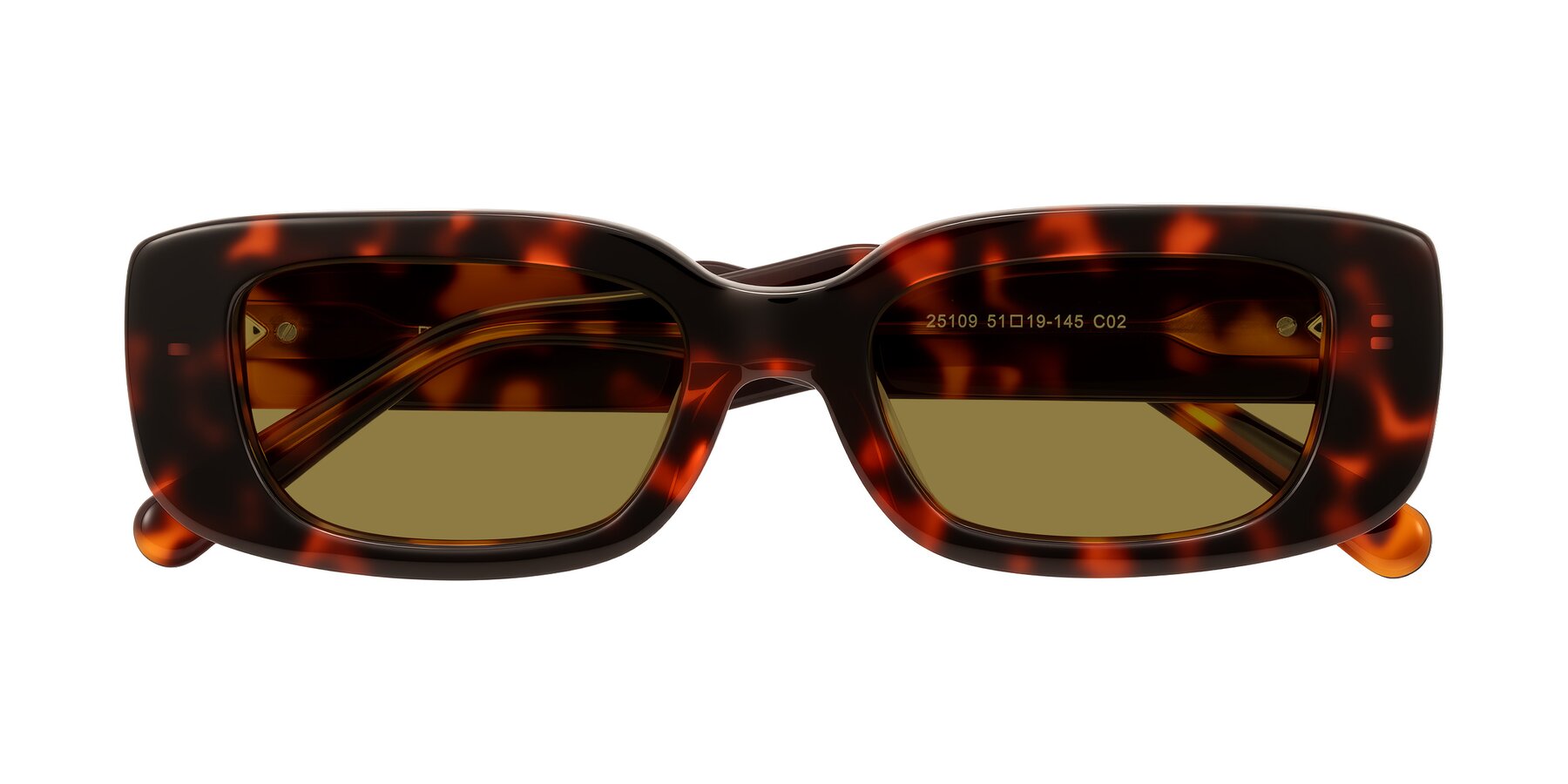 Folded Front of Pythias in Tortoise with Brown Polarized Lenses