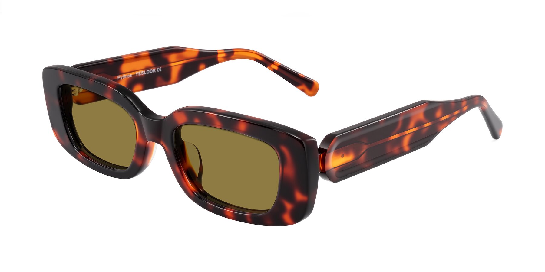 Angle of Pythias in Tortoise with Brown Polarized Lenses