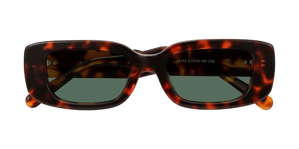 Front of Pythias in Tortoise