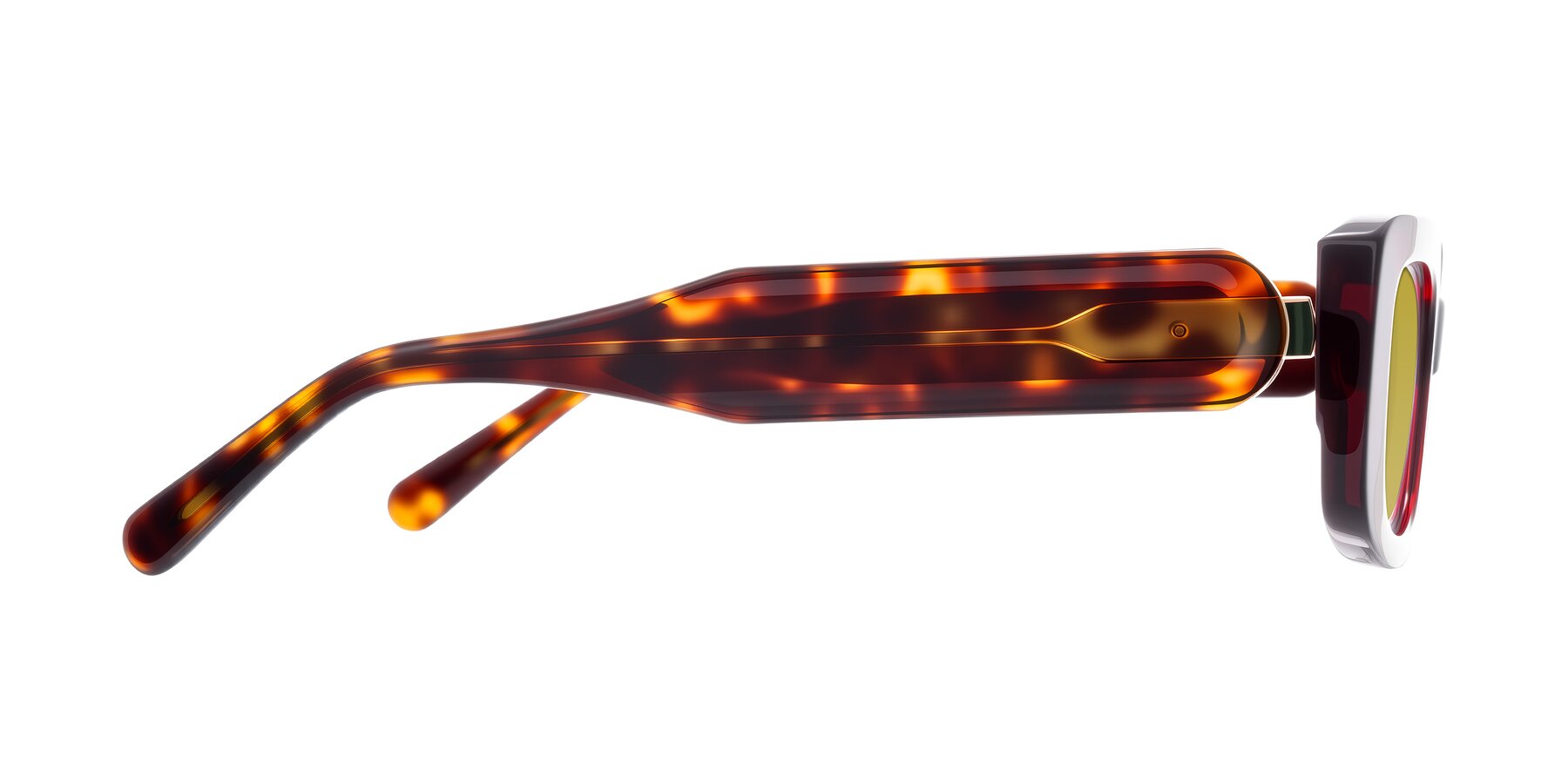Side of Pythias in Wine/Tortoise with Champagne Tinted Lenses