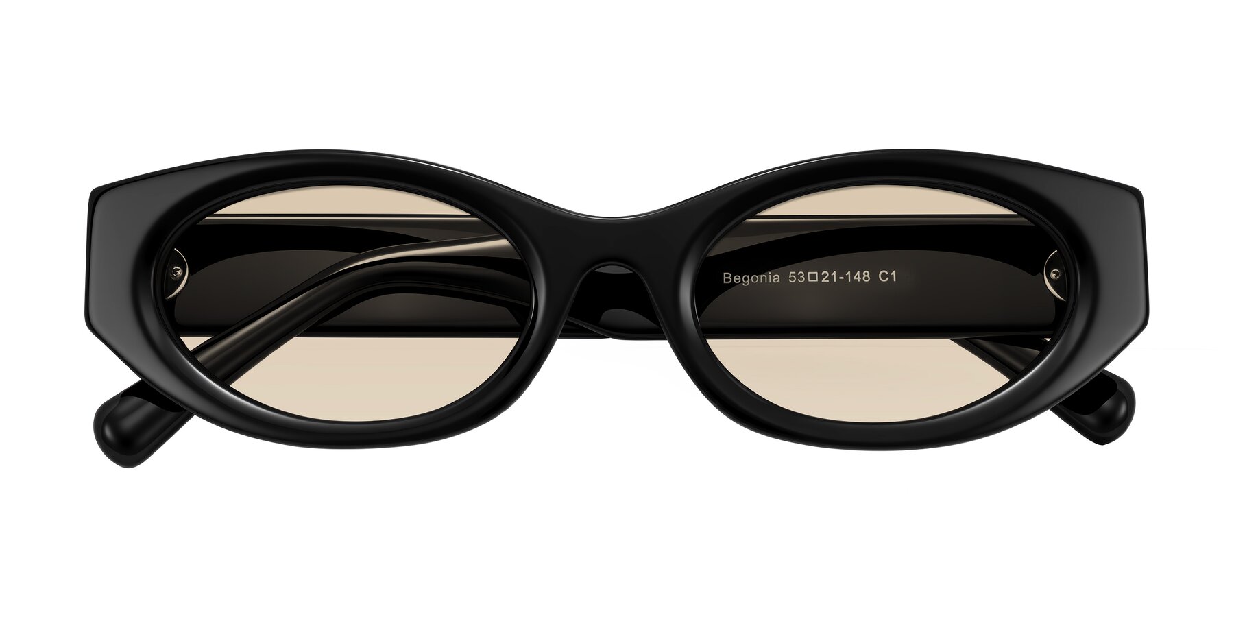 Folded Front of Begonia in Black with Light Brown Tinted Lenses