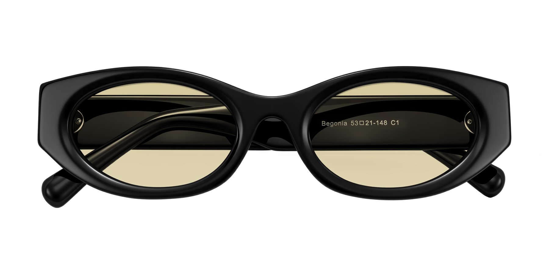 Folded Front of Begonia in Black with Light Champagne Tinted Lenses