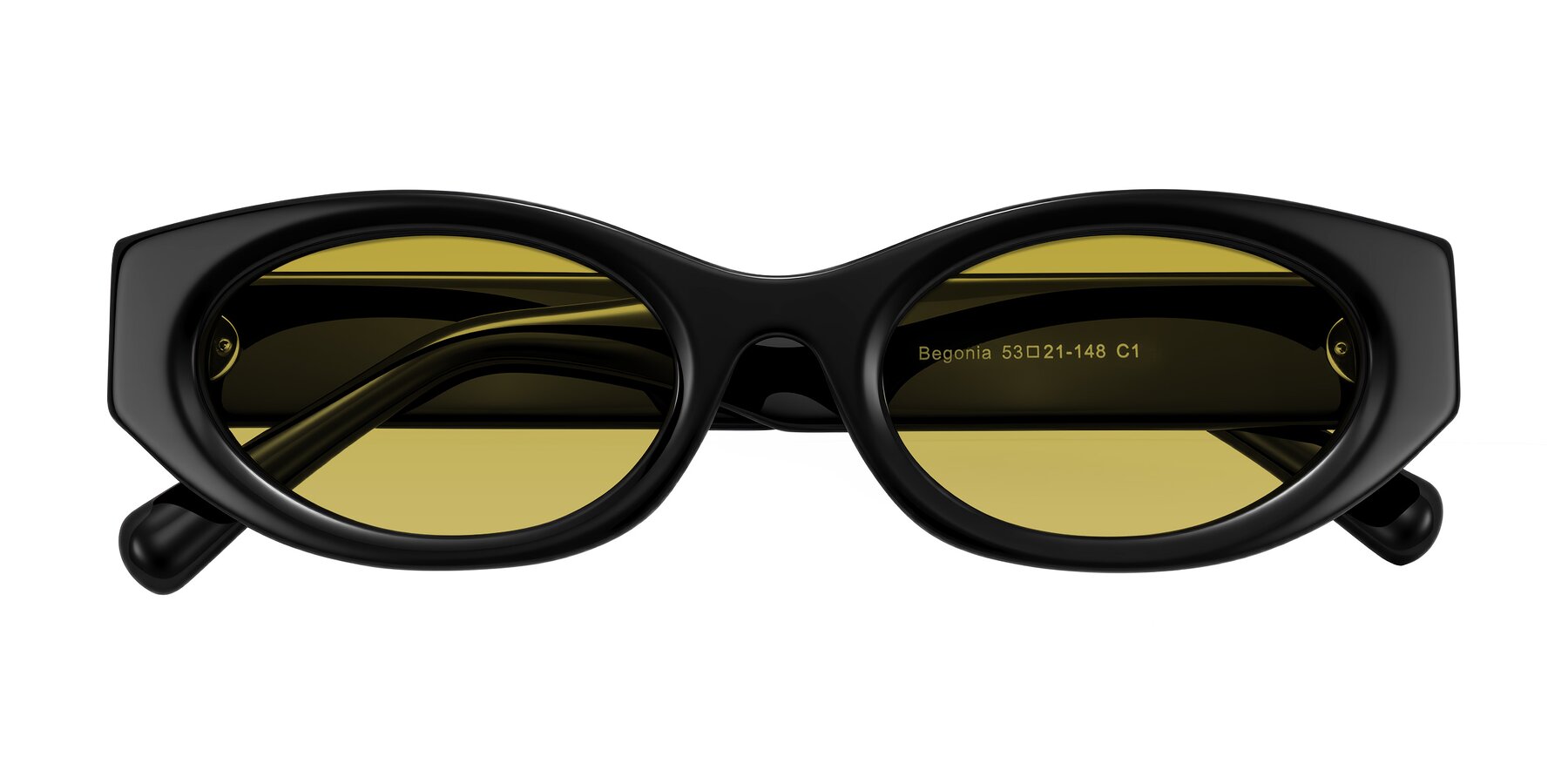 Folded Front of Begonia in Black with Champagne Tinted Lenses