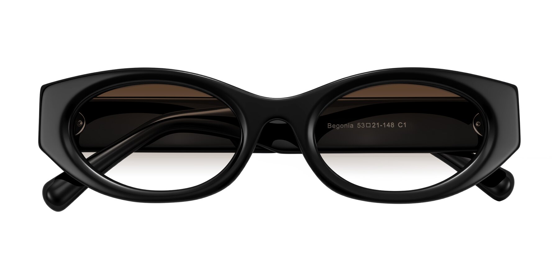 Folded Front of Begonia in Black with Brown Gradient Lenses