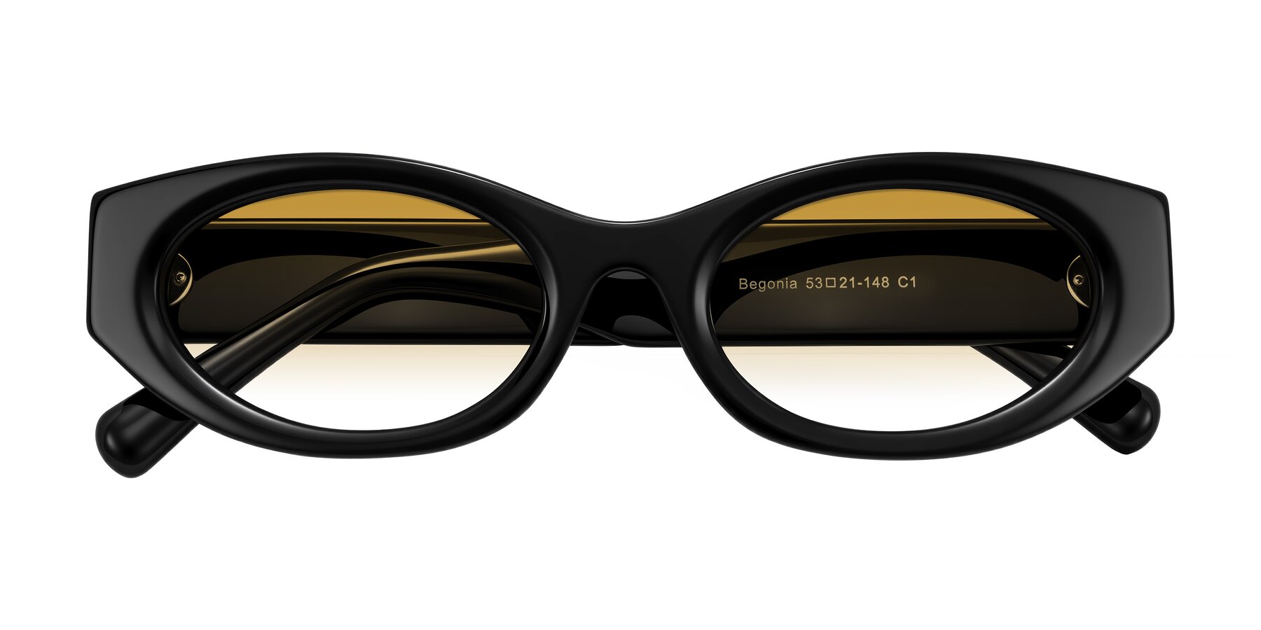 Folded Front of Begonia in Black with Champagne Gradient Lenses