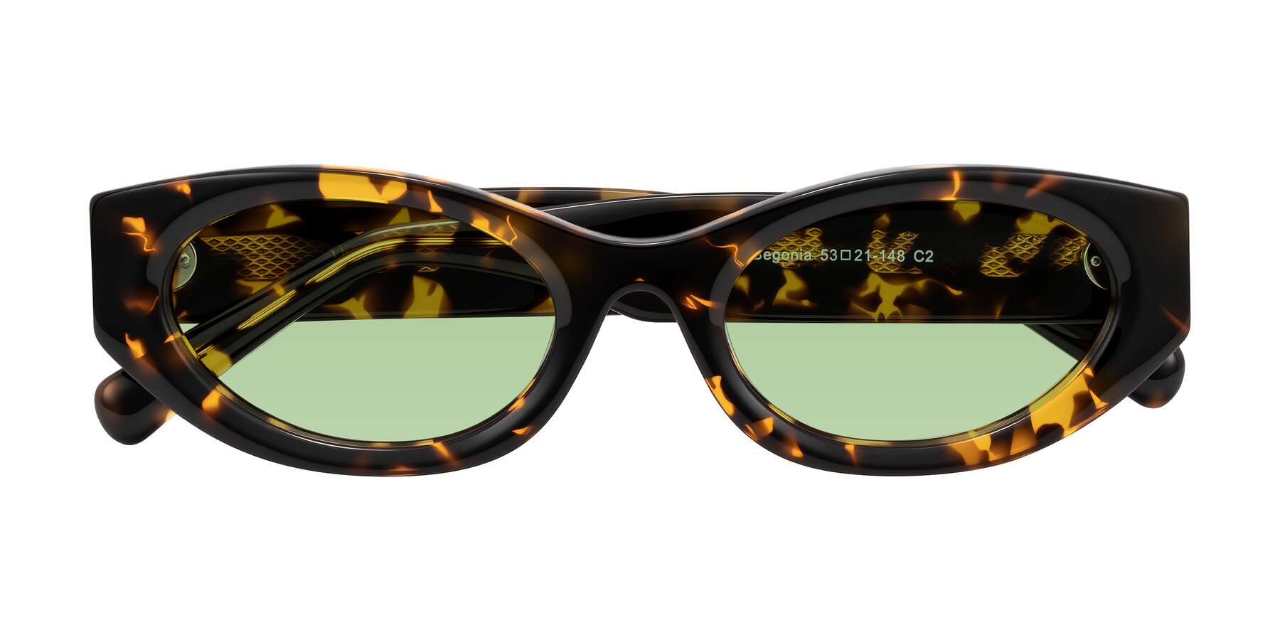 Folded Front of Begonia in Tortoise with Medium Green Tinted Lenses