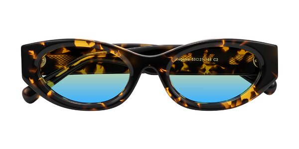 Front of Begonia in Tortoise