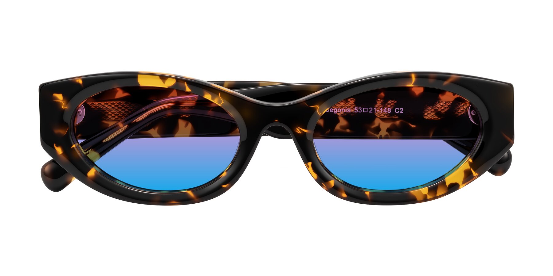 Folded Front of Begonia in Tortoise with Pink / Blue Gradient Lenses