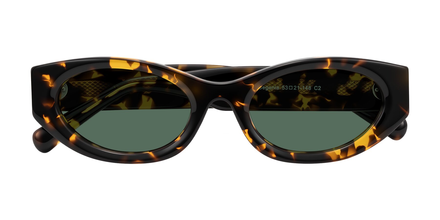 Folded Front of Begonia in Tortoise with Green Polarized Lenses