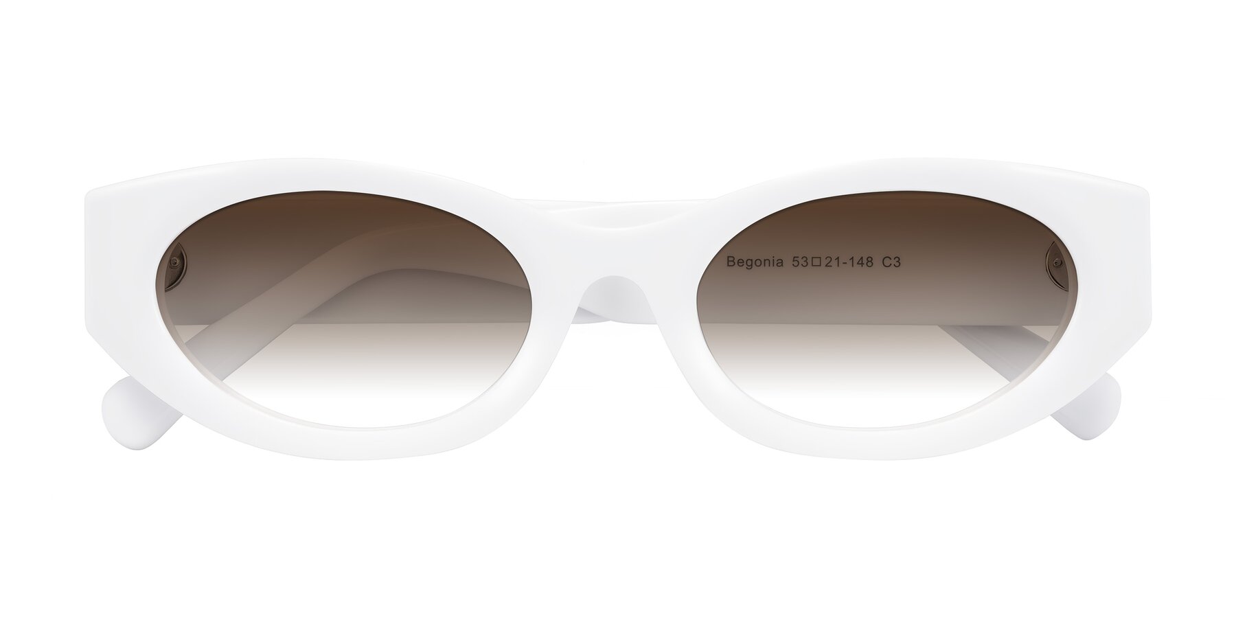 Folded Front of Begonia in White with Brown Gradient Lenses