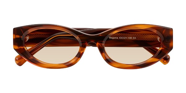 Front of Begonia in Amber Striped