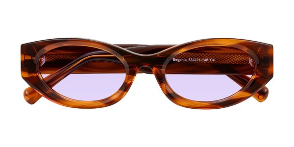 Front of Begonia in Amber Striped