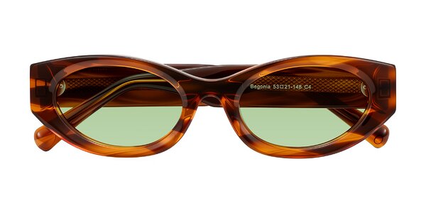 Front of Begonia in Amber Striped