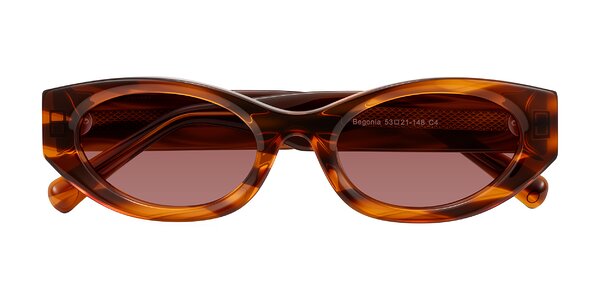 Front of Begonia in Amber Striped