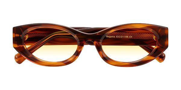 Front of Begonia in Amber Striped