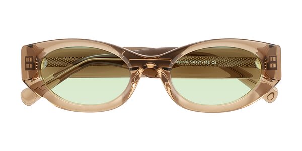 Front of Begonia in Light Brown