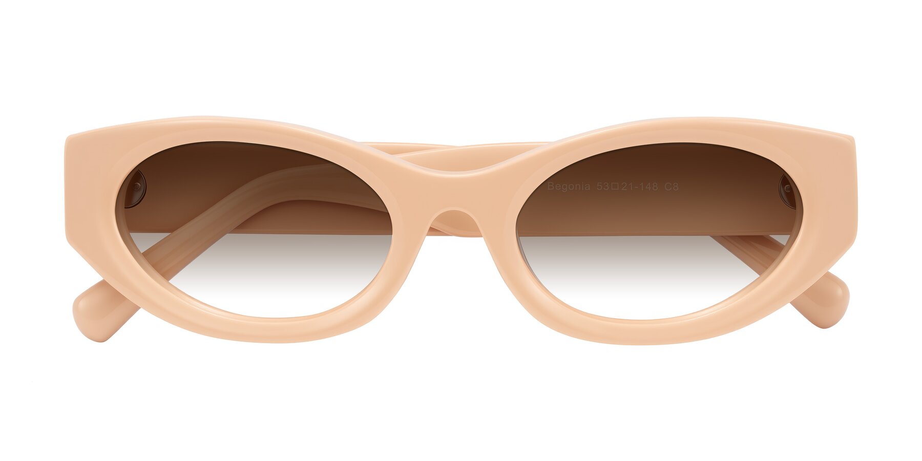 Folded Front of Begonia in Pale Salmon with Brown Gradient Lenses