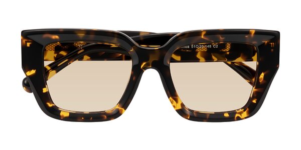 Front of Simba in Tortoise