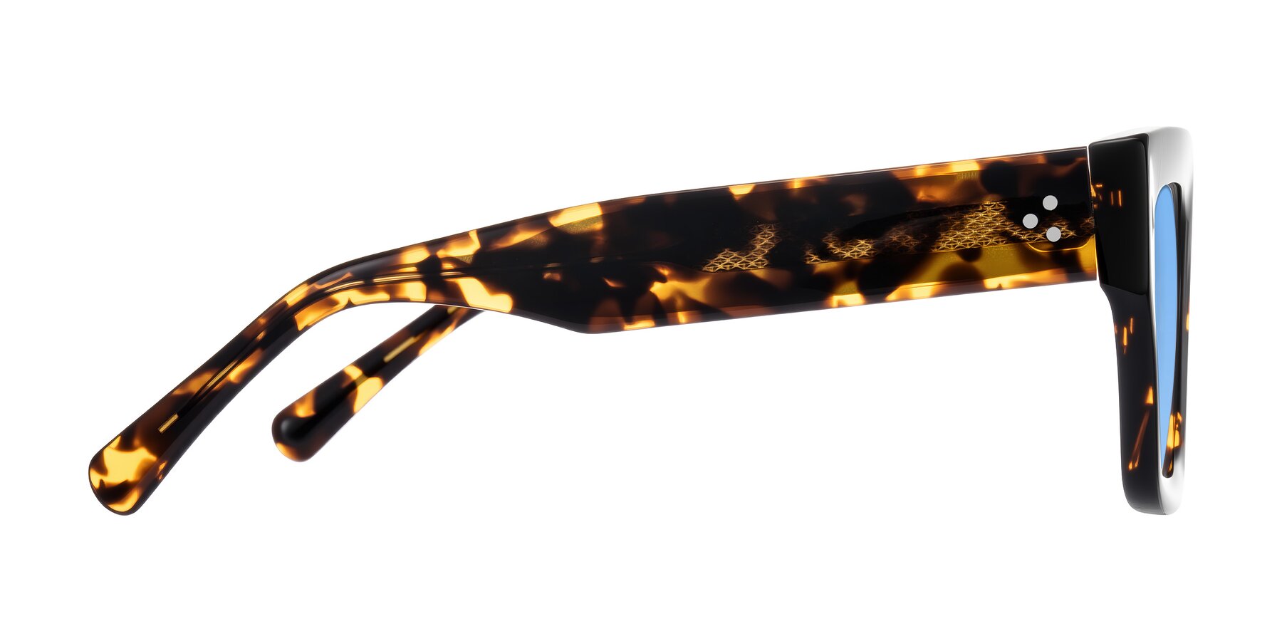 Side of Simba in Tortoise with Medium Blue Tinted Lenses