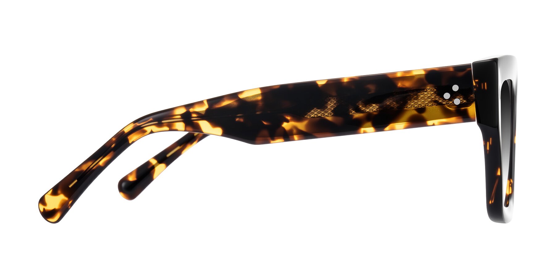 Side of Simba in Tortoise with Gray Gradient Lenses