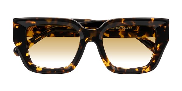 Front of Simba in Tortoise