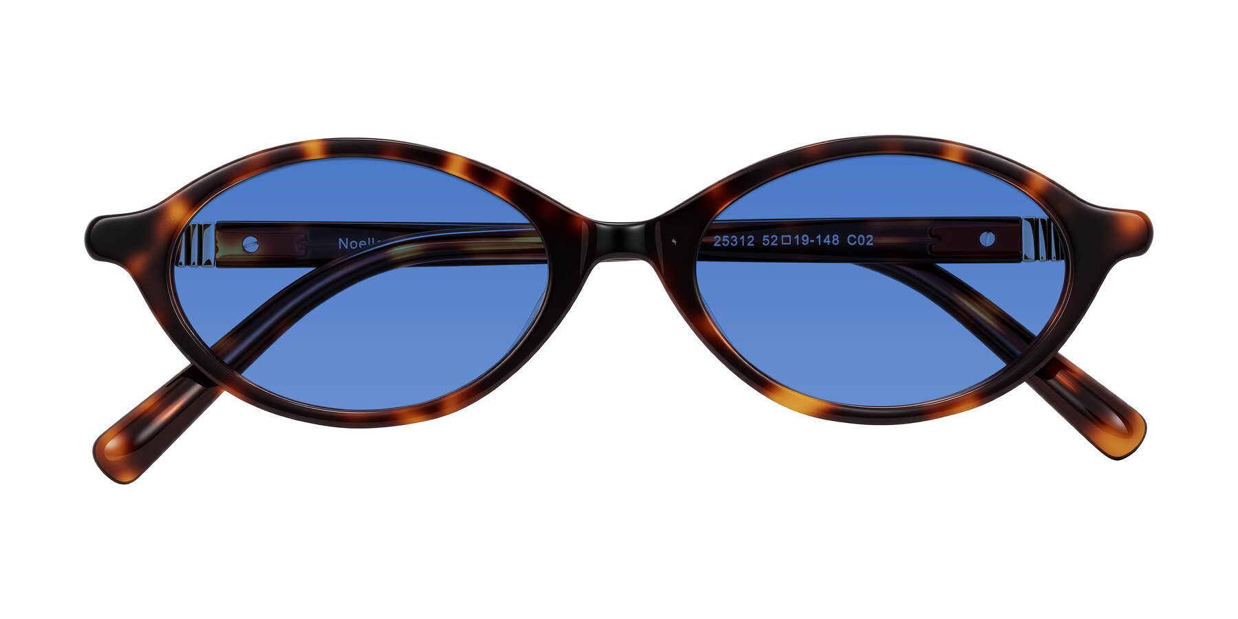 Folded Front of Noelle in Tortoise with Blue Tinted Lenses
