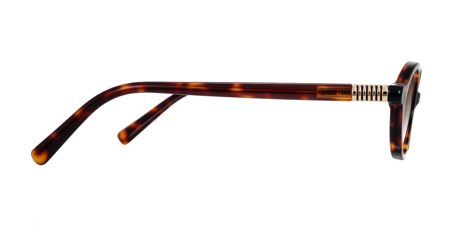 Side of Noelle in Tortoise with Brown Gradient Lenses