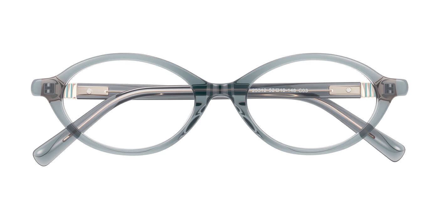 Noelle - Transparent Gray Eyeglasses