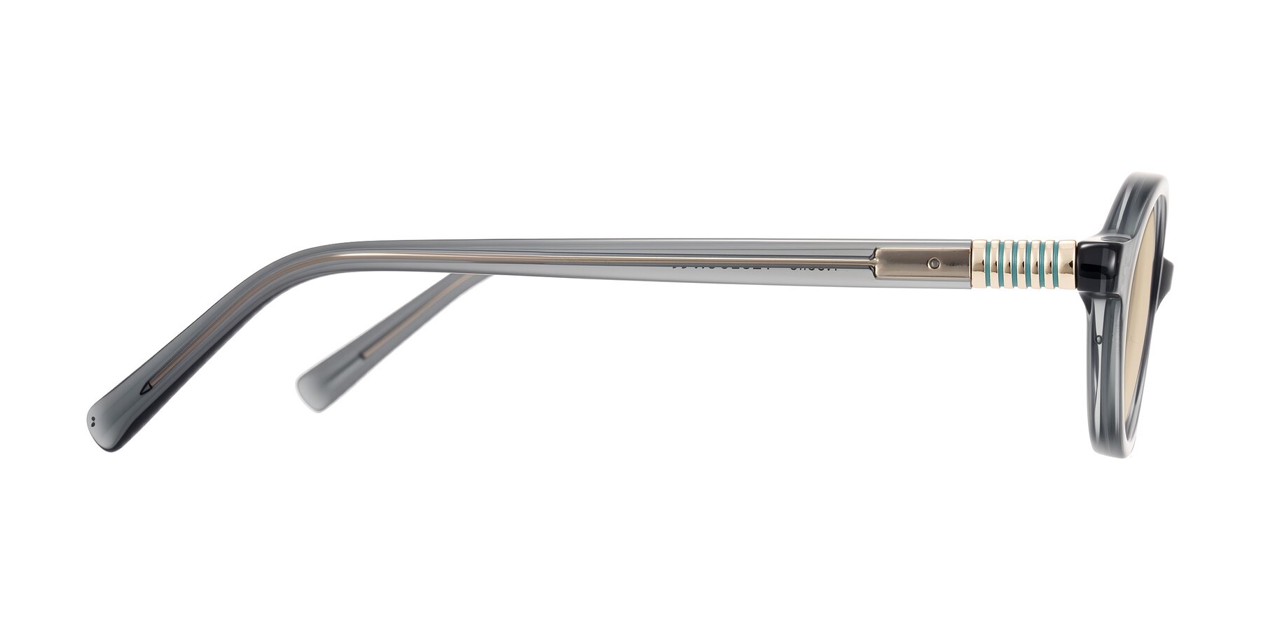 Side of Noelle in Transparent Gray with Light Brown Tinted Lenses