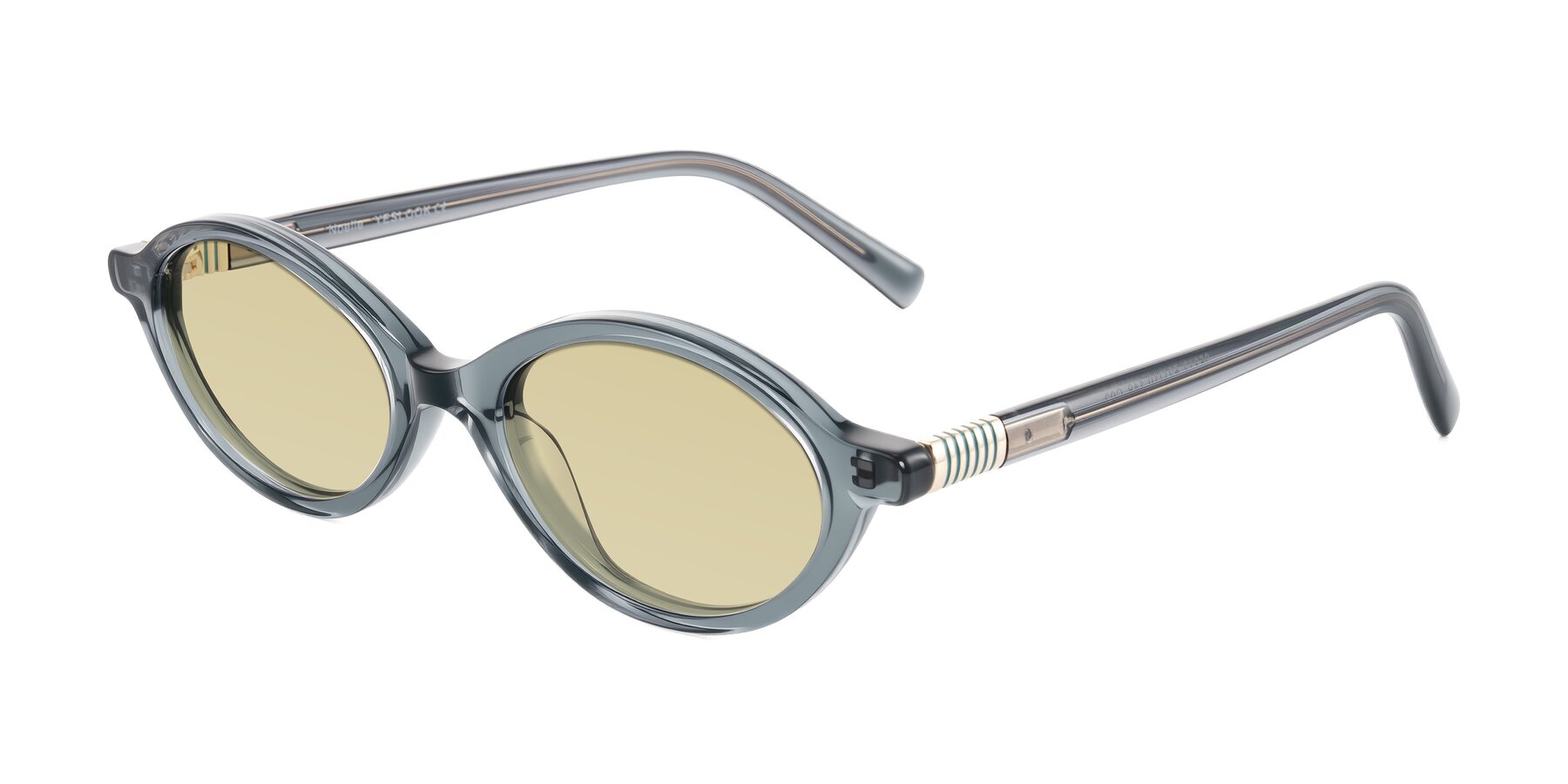 Angle of Noelle in Transparent Gray with Light Champagne Tinted Lenses